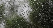 "Сапоги и дождевик": как долго в Ухте продлится дождливая погода