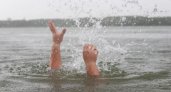 В Коми двухлетний ребенок чуть не утонул в водоеме