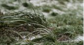 В районах Республики Коми снова ожидаются заморозки