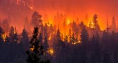 Лесные пожары в Республике Коми