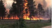 Леса Коми в огне: в регионе зафиксировано 34 лесных пожара