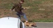 "Измывался, как мог": В Коми мужчина издевался и пинал старого пса
