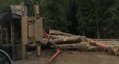 На трассе в Коми перевернулся гружённый лесовоз