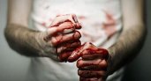 Будет решаться судьба сосногорца, который убил приятеля голыми руками