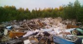Ликвидация стихийной свалки под Ухтой обойдется в миллион рублей