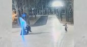 В Ухте появилось видео развлечения вандалов на территории Детского парка
