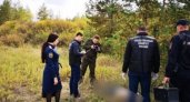 В Коми нашли тело 71-летней женщины без головы и рук
