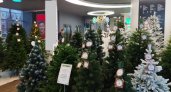 Россиян предупредили о штрафах за перевозку и покупку новогодней елки