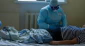 В Коми выявлен новый случай заболевания жителя "мышиной лихорадкой"