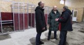 Депутат Илья Семяшкин посетил новый приют для собак в Коми