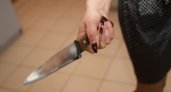 "Порядка 100 ножевых": Пятиклассница в школьном туалете напала на сверстницу