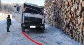 В Коми самосвал протаранил складированную древесину