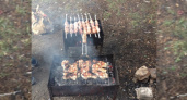 В Ухте дачнику “майские” шашлыки обошлись более чем в 630 тысяч рублей