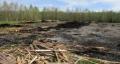 Бизнесмен обвиняется в загрязнении земель в Коми 