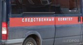 Спустя 45 лет: возобновили ухтинское уголовное дело об убийстве в детском саду