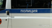 В Ухте осудили пьяную мать за оскорбление полицейского