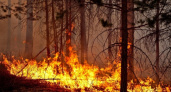 В Коми действует высокий уровень пожароопасности