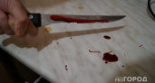 Жительница Коми ворвалась в квартиру соседки с ножом