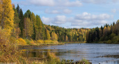 В Коми метеорологи рассказали какую погоду ждать в сентябре