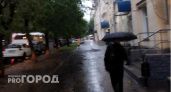 +12 и дожди: известно, какая погода ждет жителей Ухты на неделе с 4 сентября