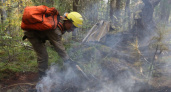 В Коми по вине местных жителей вспыхнул лесной пожар