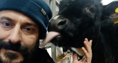 В Коми фермер, у которого погибли от голода коровы, строит приют для собак