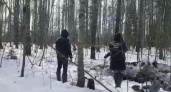 Ухтинские полицейские пришли на помощь застрявшему в лесу наркосбытчику