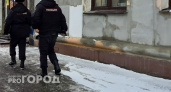 В Коми полицейские проверили видео с «расстрелом» собаки