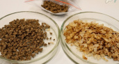 Ученые Коми запатентовали необычную биодобавку из кофе, водорослей и глины