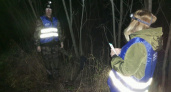 Гулявшая с собакой жительница Коми заблудилась и провела ночь в лесу