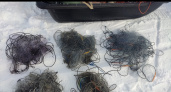 В Коми пресечена незаконная ловля рыбы сеткой