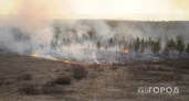 В Коми четыре месяца ожидается высокая вероятность лесных пожаров