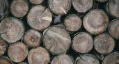 Процедуру заготовки древесины для отопления хотят упростить в Коми