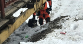В Коми спасатели выручили пса, провалившегося под лед