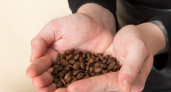 Ученые в Коми испытывают биодобавку из кофейной шелухи