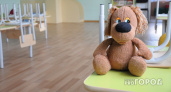 Житель Коми обокрал детский сад в Курской области на миллион рублей