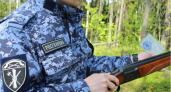 В Коми за неделю сотрудники Росгвардии изъяли семь единиц охотничьего оружия
