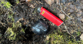 В одном из городов Коми обнаружили схрон с наркотиками