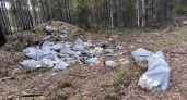 На ухтинских озерах устроили настоящую свалку