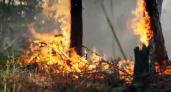 Пожарные из Коми тушат лесные пожары в другом регионе