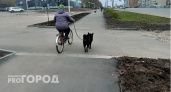 В Коми пострадавшая от укуса собаки женщина подала иск в суд