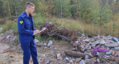 В Коми убрали отходы только после вмешательства прокуратуры