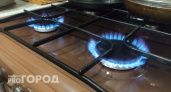 Жительницу многоквартирного дома в Коми оштрафовали за утечку газа