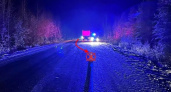 В Коми на трассе иномарка влетела во встречный автомобиль