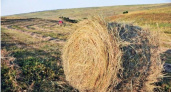 С начала года в Коми скосили 38 тысяч гектаров трав