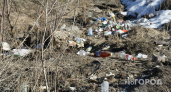 В Коми набирает обороты борьба с несанкционированными свалками