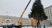 Главную новогоднюю елку Коми привезут на Стефановскую площадь уже 5 декабря