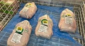 Сплошная химия вместо мяса: Роскачество назвало худший бренд филе цыпленка