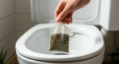 Уходя из дома, бросаю чайный пакетик в унитаз - волшебный совет от знакомой горничной