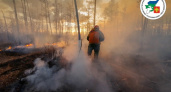 В лесах Коми объявлен высокий уровень пожарной опасности